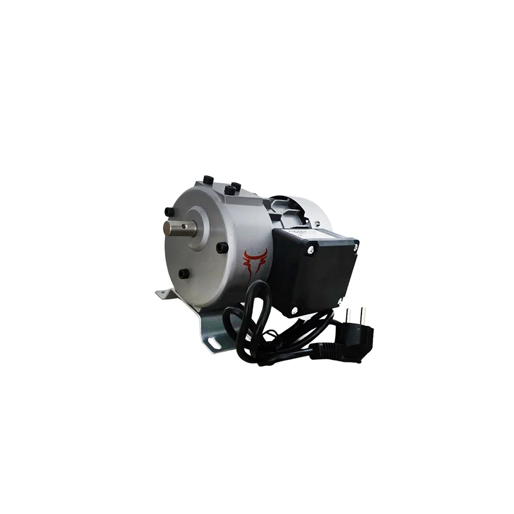 Motor pentru protap berbecuti porc 60w 21rpm